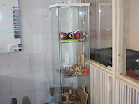 Vitrinekast met verlichting en afmeting 43 x 37 x 164 cm. - afbeelding 3 van  4