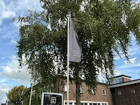 Vlaggenmast (3x) - afbeelding 2 van  5