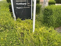 Vlaggenmast (3x) - afbeelding 3 van  5