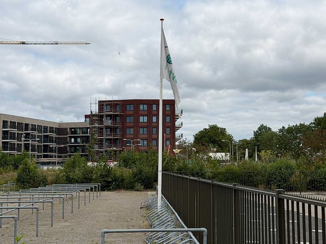 Vlaggenmast - afbeelding 1 van  1
