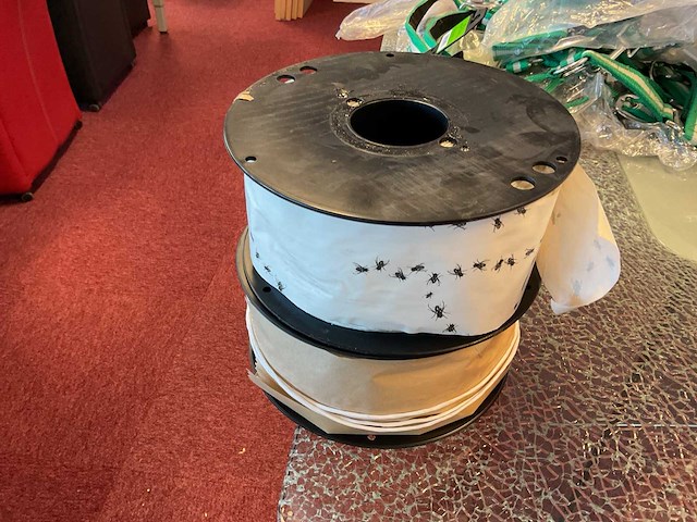 Vliegenplakstrip op rol (2x) - afbeelding 1 van  3