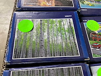 Vlies fotobehang - afbeelding 5 van  6