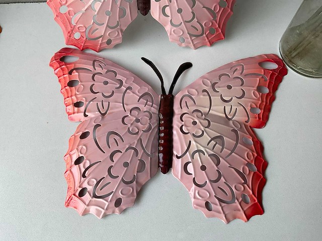 Vlinders - afbeelding 3 van  4