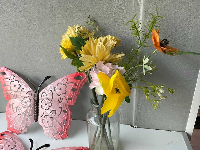 Vlinders - afbeelding 4 van  4