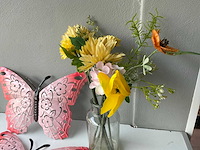 Vlinders - afbeelding 4 van  4