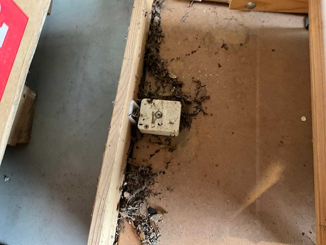 Vlizotrap - afbeelding 5 van  5