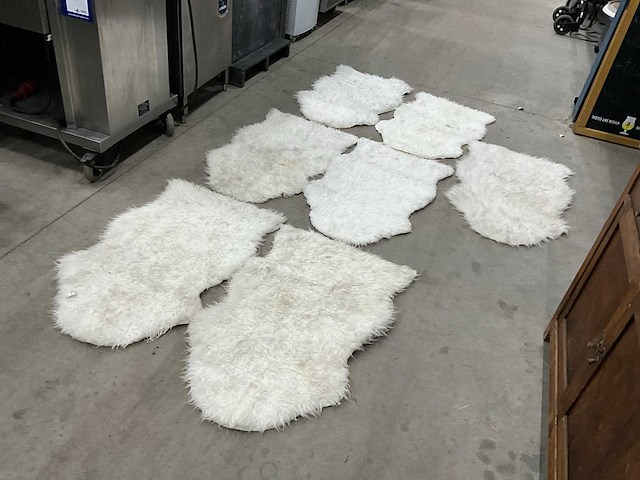 Vloerkleden (8x) - afbeelding 1 van  4
