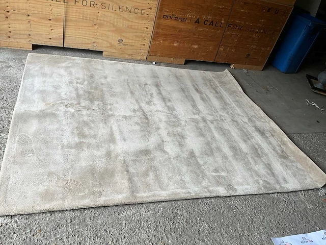 Vloerkleed 300x240cm - afbeelding 1 van  4