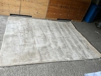 Vloerkleed 300x240cm