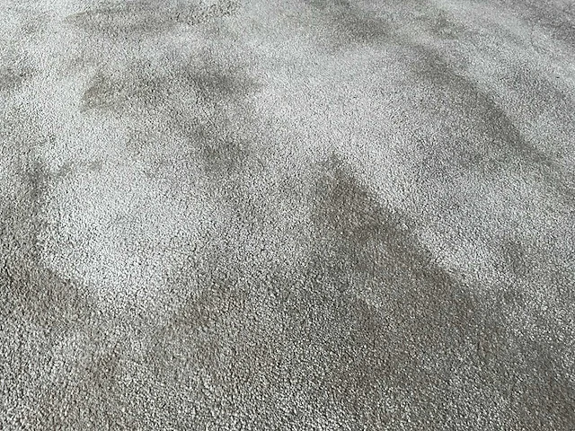 Vloerkleed 300x240cm - afbeelding 2 van  4