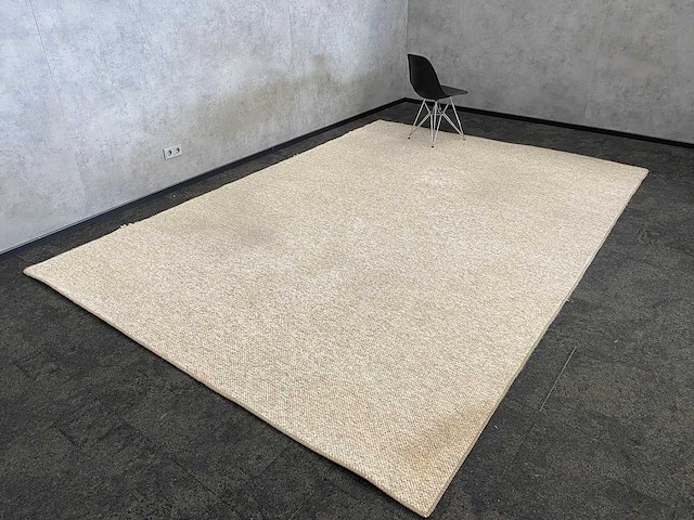 Vloerkleed beige 368x260 - afbeelding 1 van  11