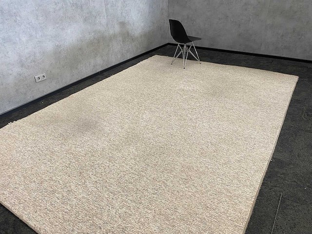 Vloerkleed beige 368x260 - afbeelding 4 van  11
