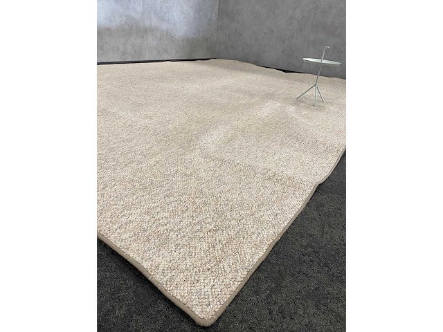 Vloerkleed beige 443x362 - afbeelding 2 van  11