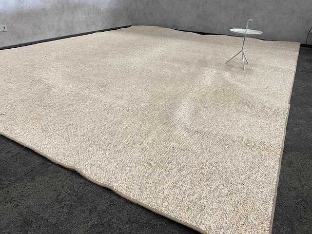 Vloerkleed beige 443x362 - afbeelding 3 van  11