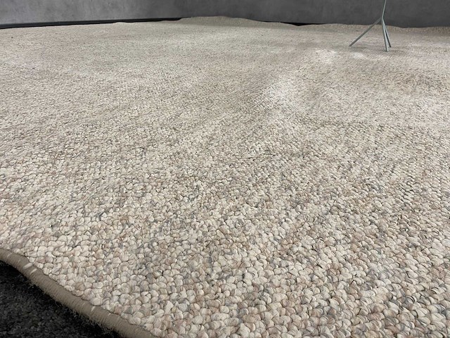 Vloerkleed beige 443x362 - afbeelding 8 van  11