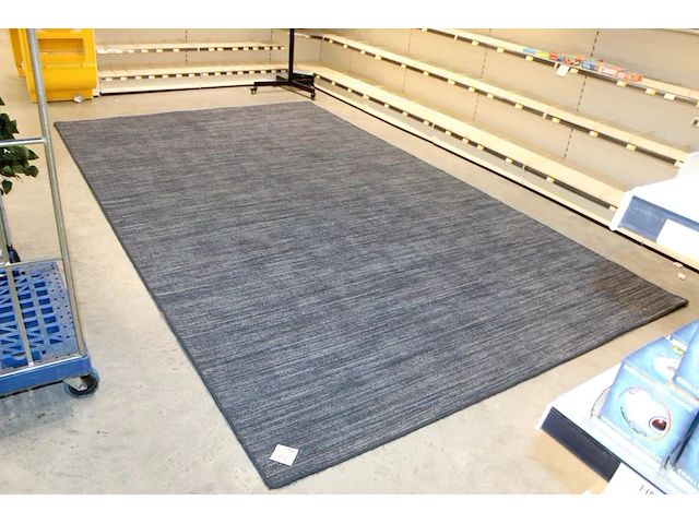 Vloerkleed desso. afmeting 400 x 240 cm - afbeelding 1 van  3