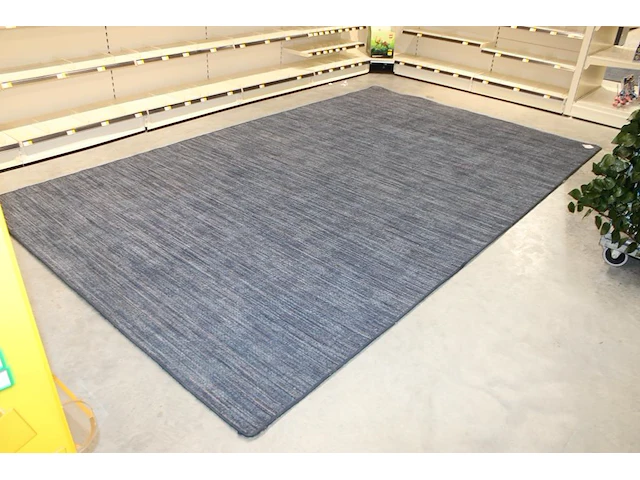 Vloerkleed desso. afmeting 400 x 240 cm - afbeelding 3 van  3
