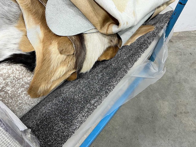 Vloerkleed diverse maten en soorten (10x) - afbeelding 5 van  6