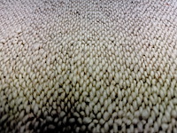 Vloerkleed, m-ray, rechthoek, creme - afbeelding 3 van  4