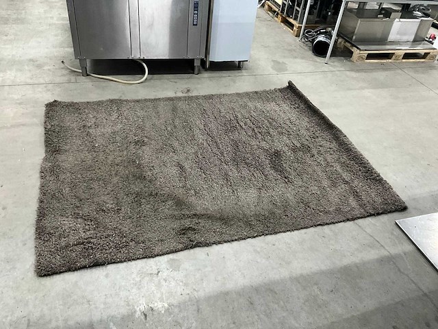 Vloerkleed - afbeelding 1 van  3