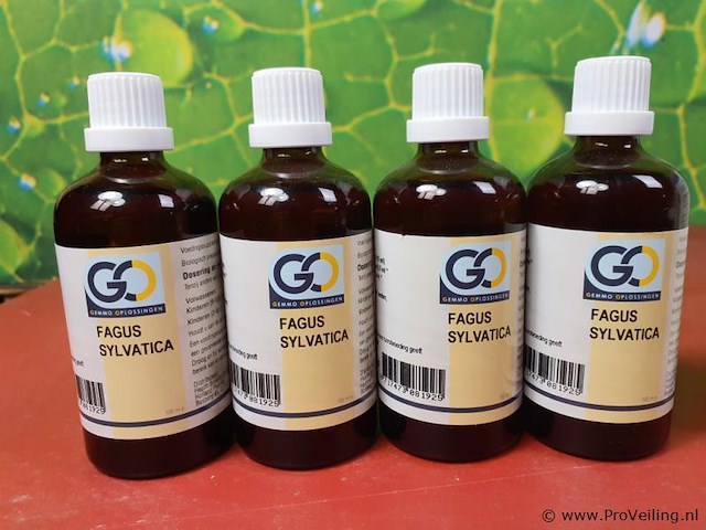 Voedingssupplement fagus sylvatica - 4 flesjes á 100ml - afbeelding 1 van  5