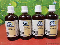 Voedingssupplement fagus sylvatica - 4 flesjes á 100ml - afbeelding 1 van  5