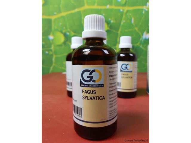 Voedingssupplement fagus sylvatica - 4 flesjes á 100ml - afbeelding 2 van  5