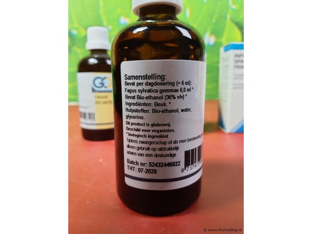 Voedingssupplement fagus sylvatica - 4 flesjes á 100ml - afbeelding 3 van  5