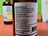 Voedingssupplement fagus sylvatica - 4 flesjes á 100ml - afbeelding 3 van  5