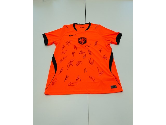 Voetbalshirt - nederlands elftal nike, oranje, gesigneerd, l - afbeelding 1 van  1