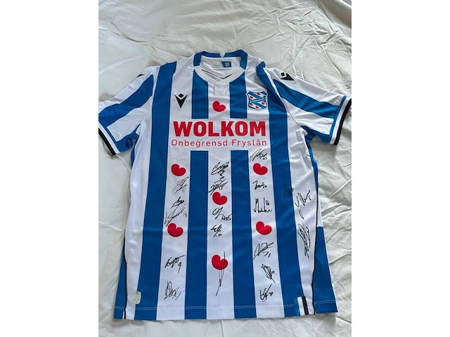 Voetbalshirt sc heerenveen, macron, wit/blauw, l - afbeelding 1 van  2