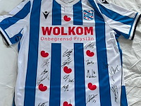 Voetbalshirt sc heerenveen, macron, wit/blauw, l - afbeelding 1 van  2