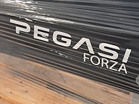 Voetbaltafel, pegasi forza - afbeelding 3 van  8