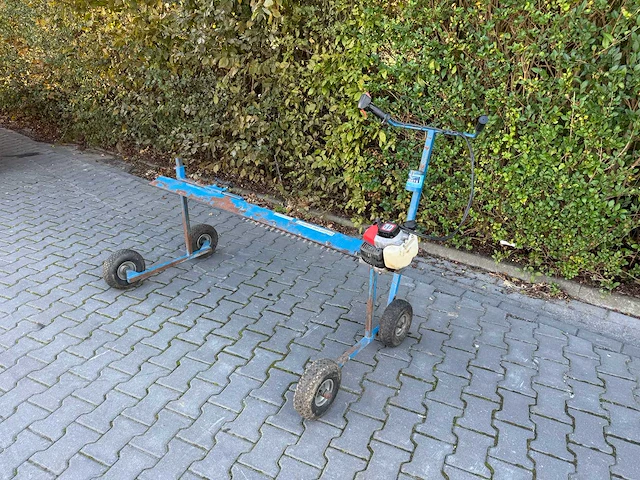 Voets stekkennipper - afbeelding 1 van  9
