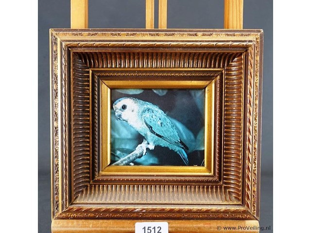 Vogel in klassieke lijst - afbeelding 1 van  5