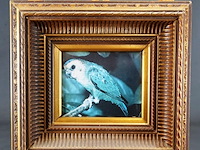 Vogel in klassieke lijst - afbeelding 1 van  5