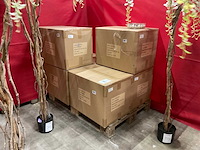 Vogeltjes - afbeelding 1 van  5