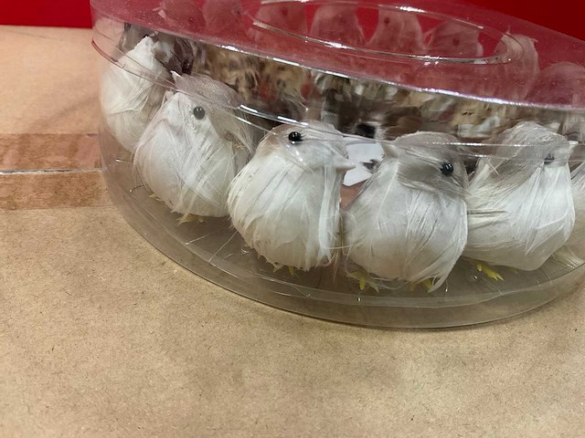 Vogeltjes - afbeelding 5 van  5