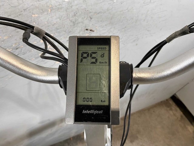 Vogue glamour elektrische fiets - afbeelding 7 van  7