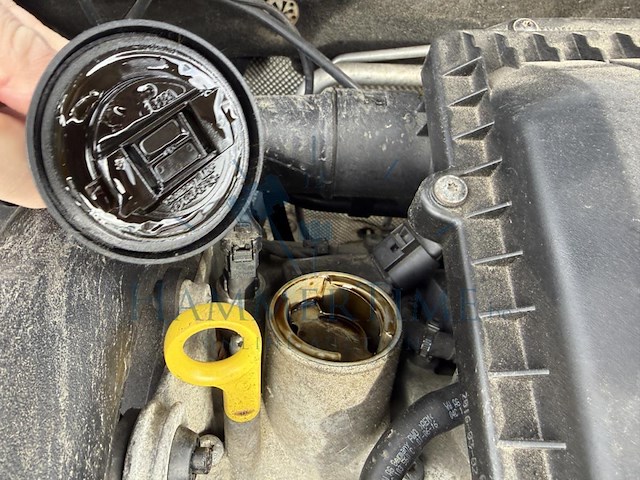 Volkswagen polo 1.0i trendline,2016 - afbeelding 20 van  35