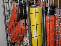 Volle rolcontainer met inpakpapier diverser kleuren - afbeelding 3 van  7
