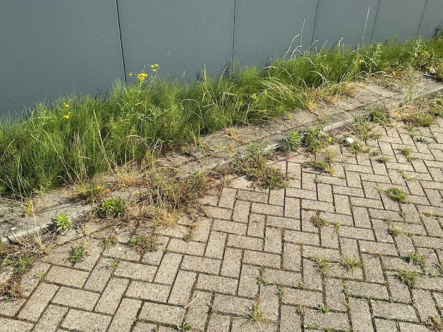 Volledig bedrijfspand met overkapping - afbeelding 37 van  87