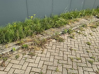 Volledig bedrijfspand met overkapping - afbeelding 37 van  87
