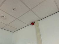Volledig bedrijfspand met overkapping - afbeelding 60 van  87