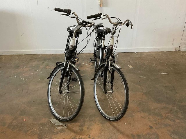 Voltani elektrische fiets (2x) - afbeelding 4 van  24