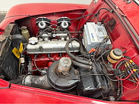 Volvo - kattenrug - 18 sport - pv 544 c - oldtimer - 1965 - afbeelding 8 van  26