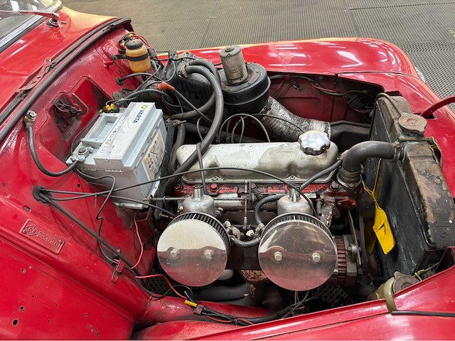 Volvo - kattenrug - 18 sport - pv 544 c - oldtimer - 1965 - afbeelding 7 van  24