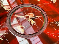 Vonn jansen synchroni eetkamertafel - afbeelding 6 van  6