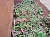 Voorbreker - afbeelding 4 van  18