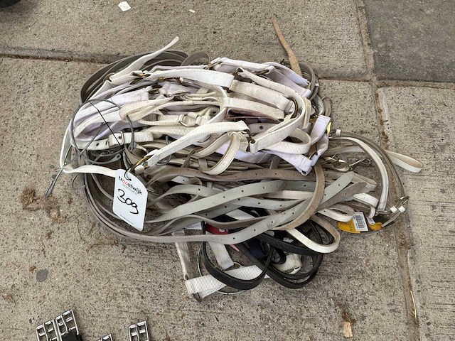 Voorbreng halster (12x) - afbeelding 2 van  2